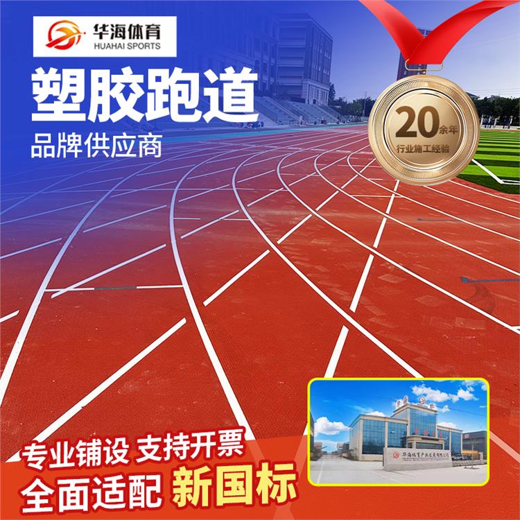 郴州市预制型塑胶跑道预制型橡胶跑道 - 厂家